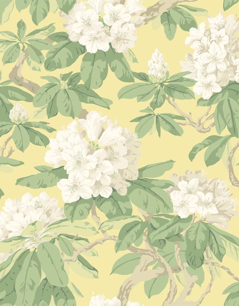 Bourlie Wallpaper 99-4021 by Cole & Son