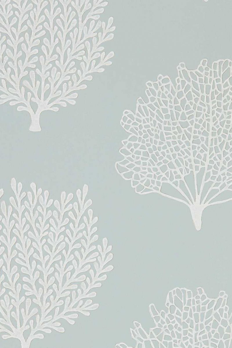 Coraline Wallpaper DCOA216576 by Sanderson