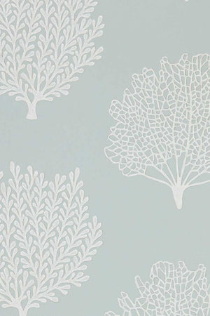 Coraline Wallpaper DCOA216576 by Sanderson