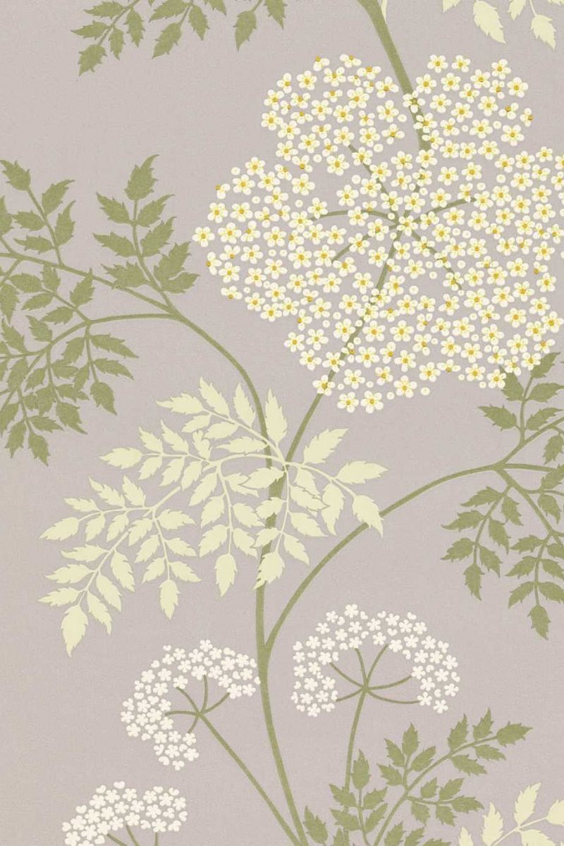 Cowparsley Wallpaper DOPWCO103 by Sanderson