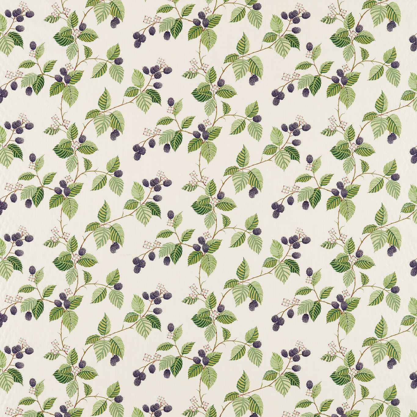 Rubus Blackberry Fabric By Sanderson