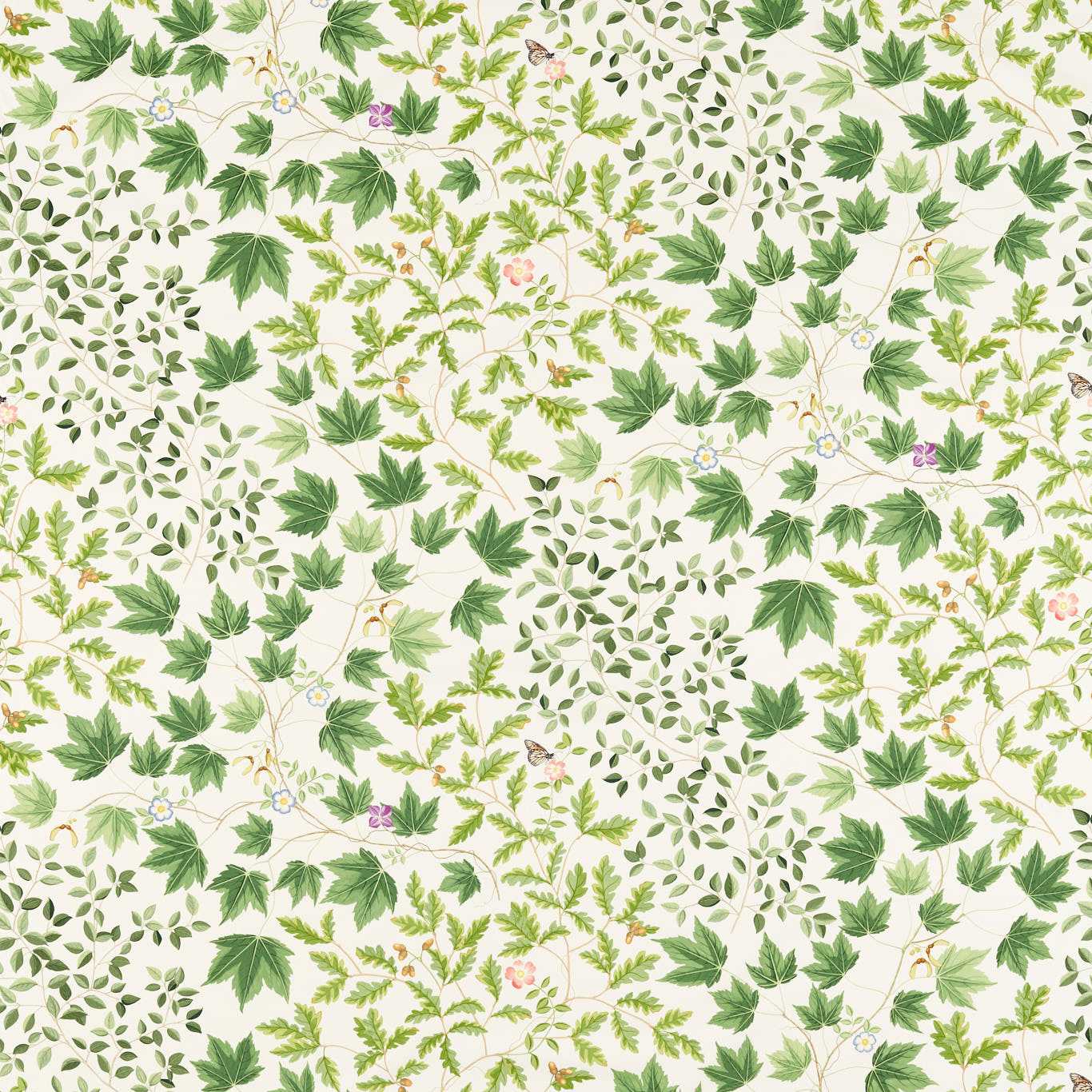 Sycamore and Oak Botanical Green Fabric By Sanderson