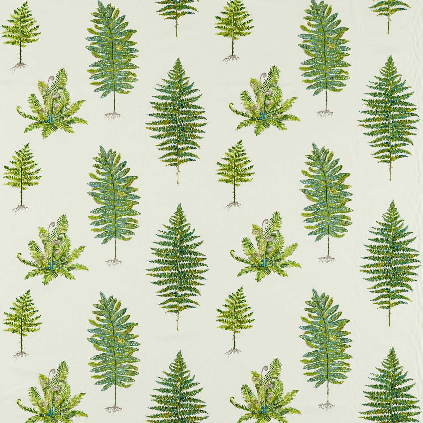 Fernery Embroidery Botanical Green Fabric By Sanderson