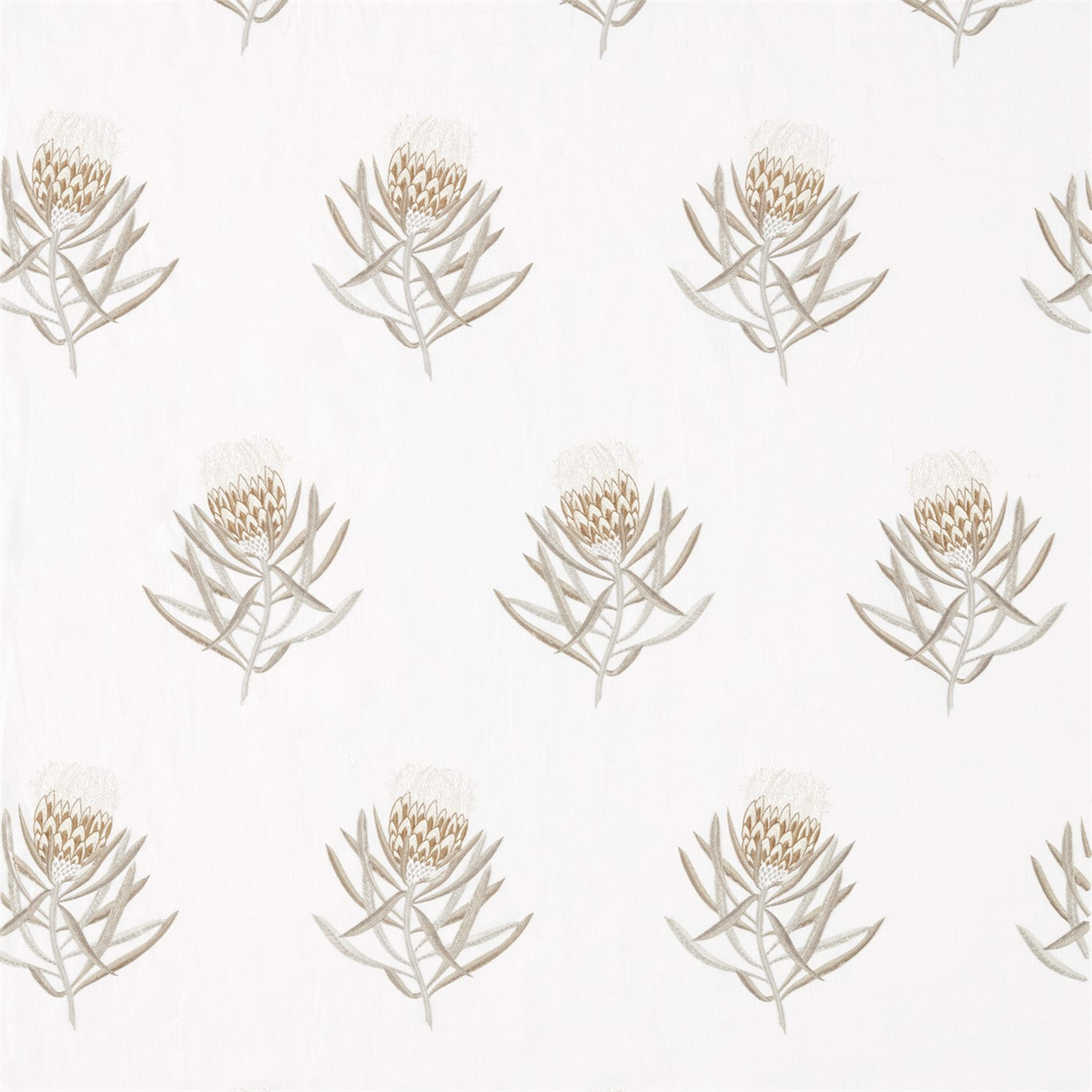 Protea Flower Gold Fabric By Sanderson