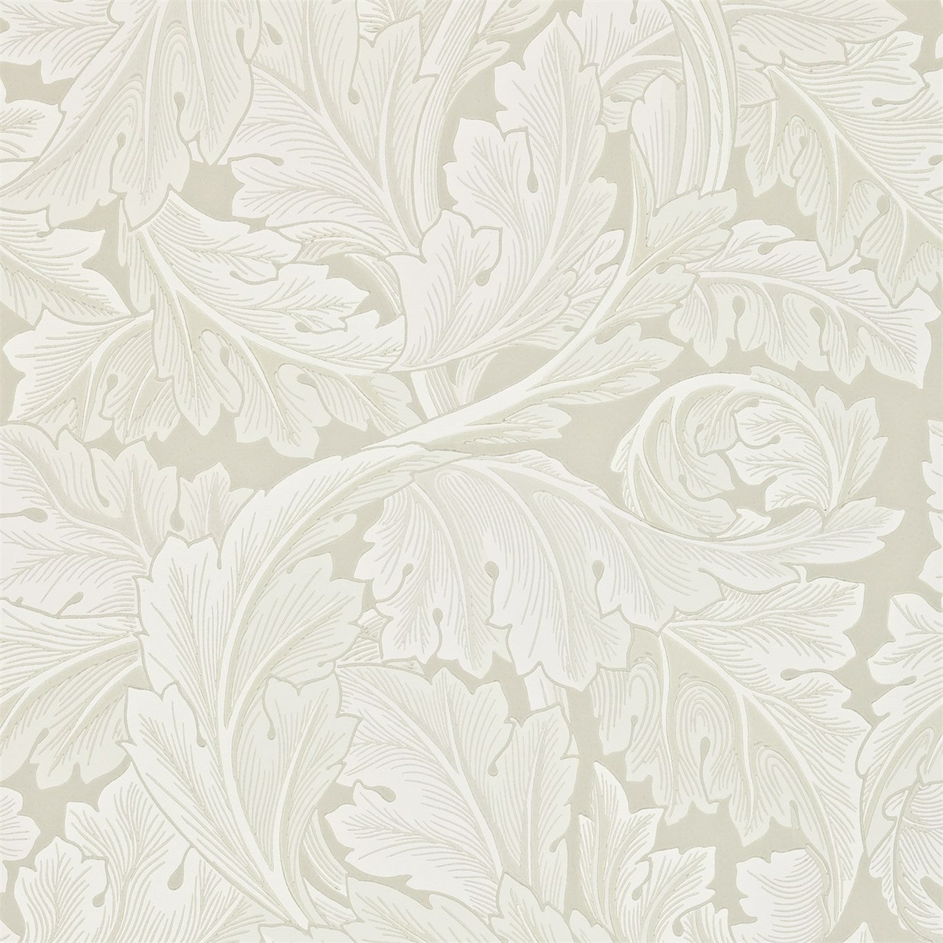 Acanthus Wallpaper DARW212554 by Morris & Co