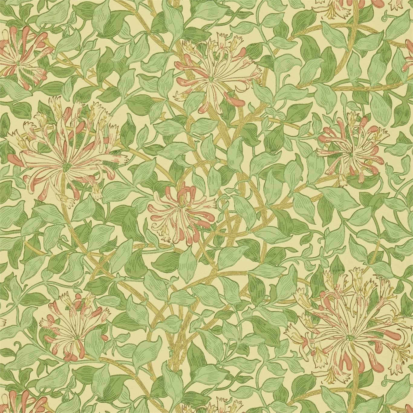 Honeysuckle Green/Beige/Pink Wallpaper DCMW216842 by Morris & Co