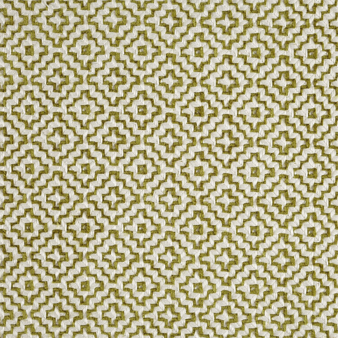 Linden Garden Green Fabric By Sanderson