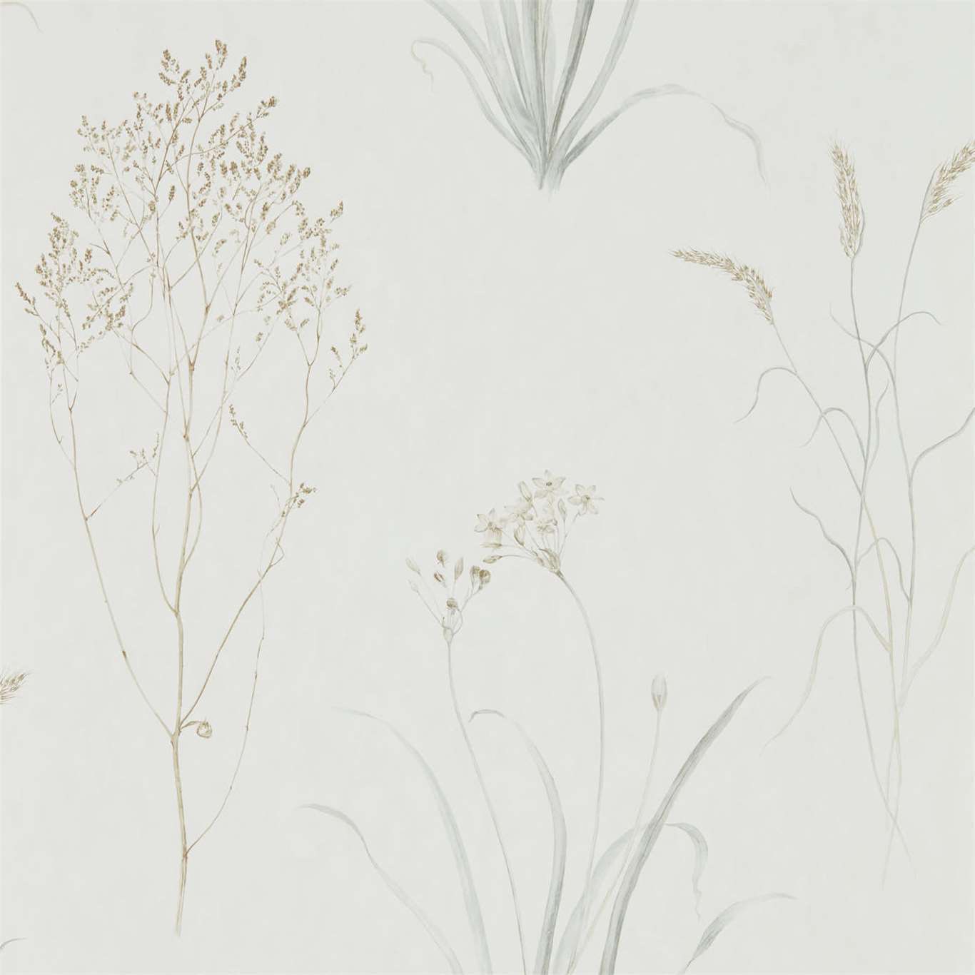 Farne Grasses Silver/Ivory Wallpaper DEBB216487 by Sanderson