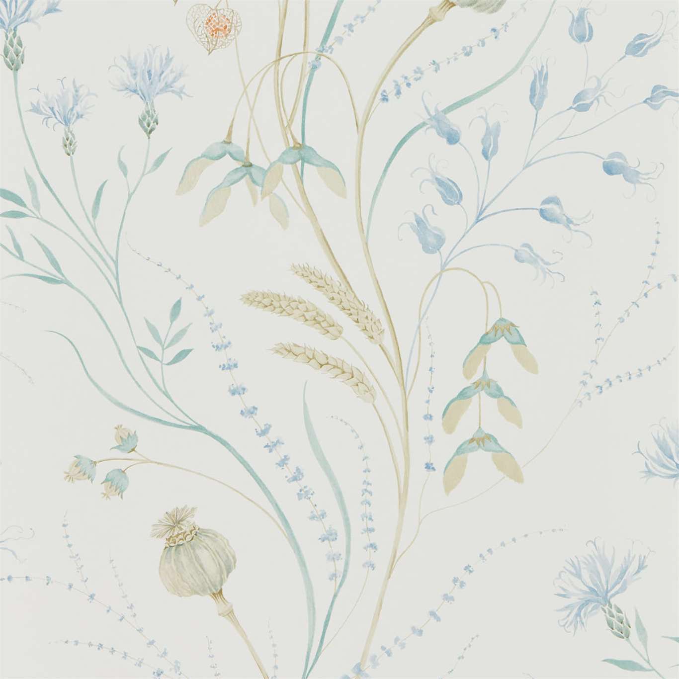 Summer Harvest Cornflower/Wheat Wallpaper DEBB216496 by Sanderson