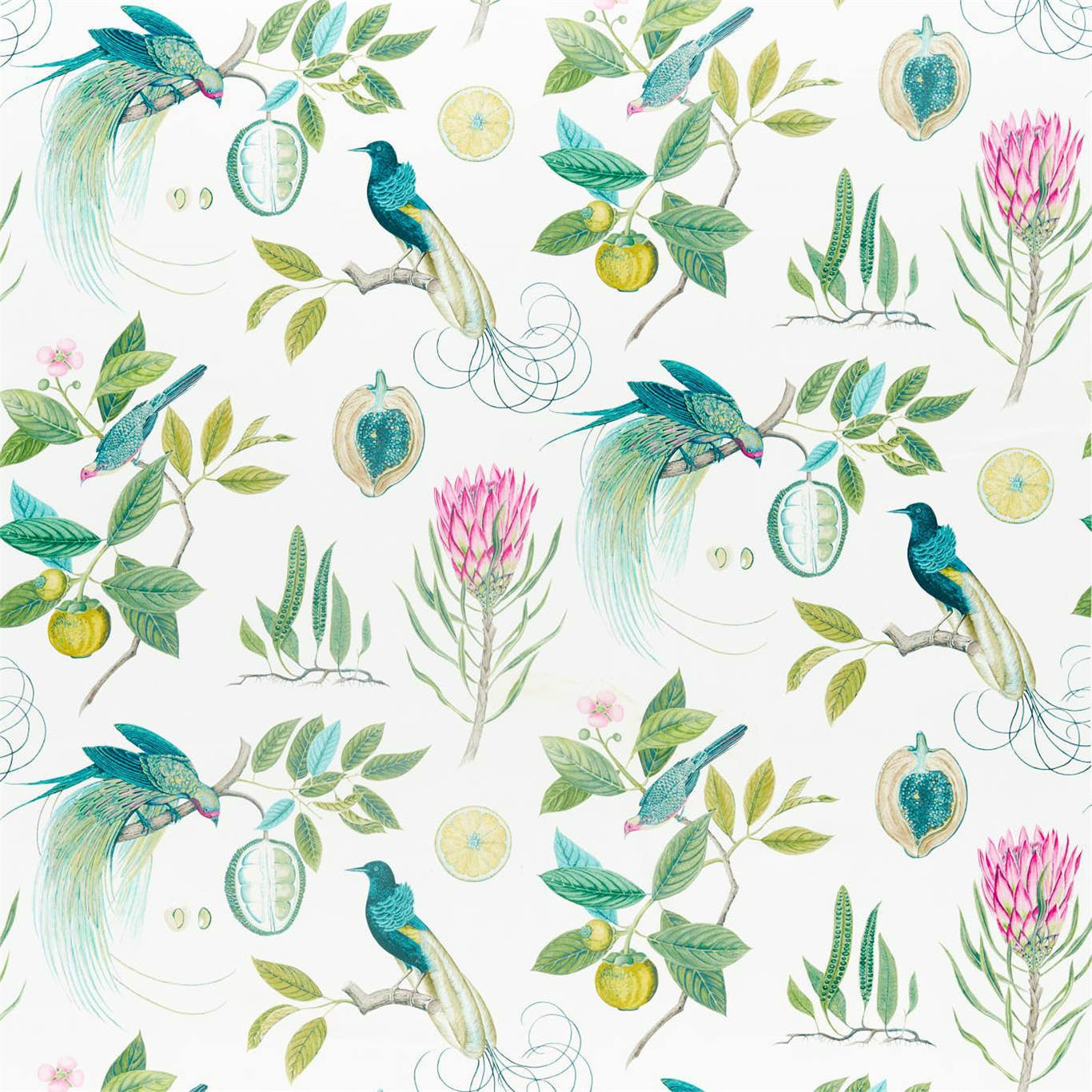 Paradesia Botanical Green Fabric By Sanderson