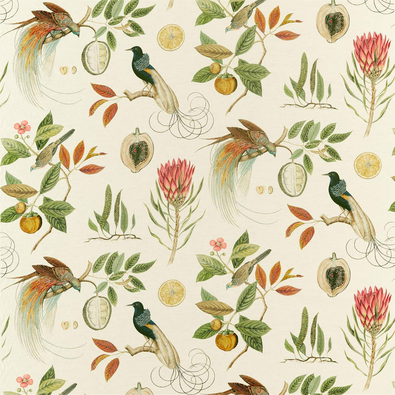 Paradesia Orange/Olive Fabric By Sanderson