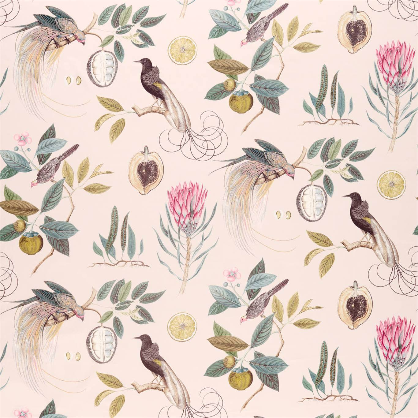 Paradesia Orchid/Grey Fabric By Sanderson