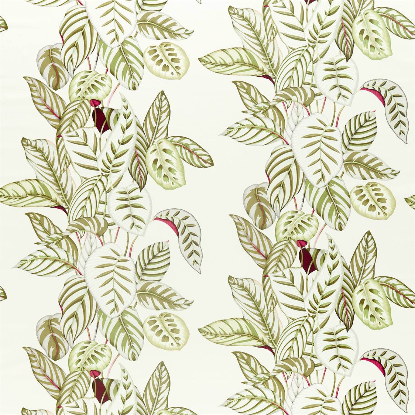 Calathea Olive Fabric By Sanderson