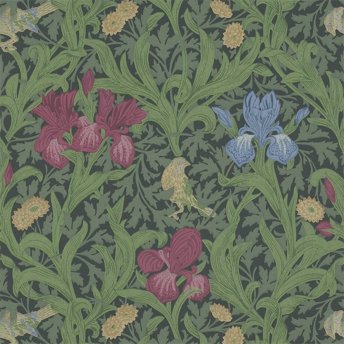 Iris Wallpaper DGW1Q5103 by Morris & Co