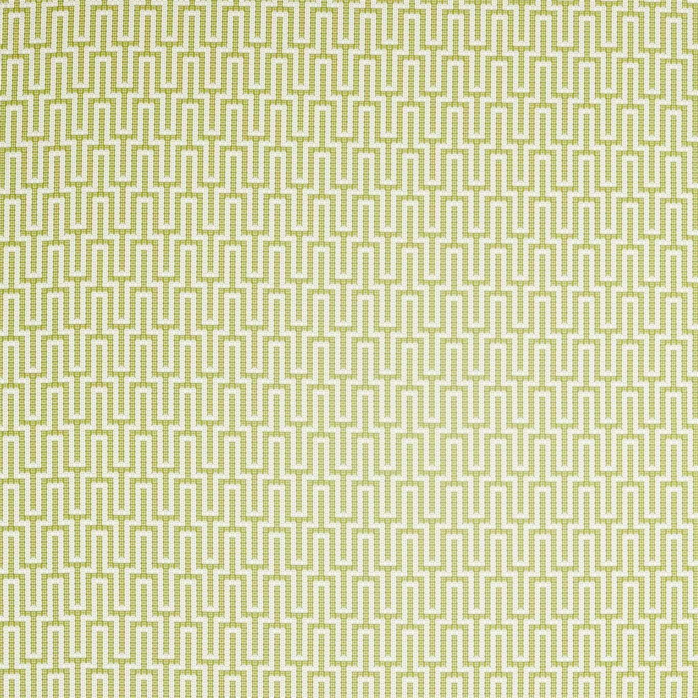 Linnean Lime Fabric By Sanderson