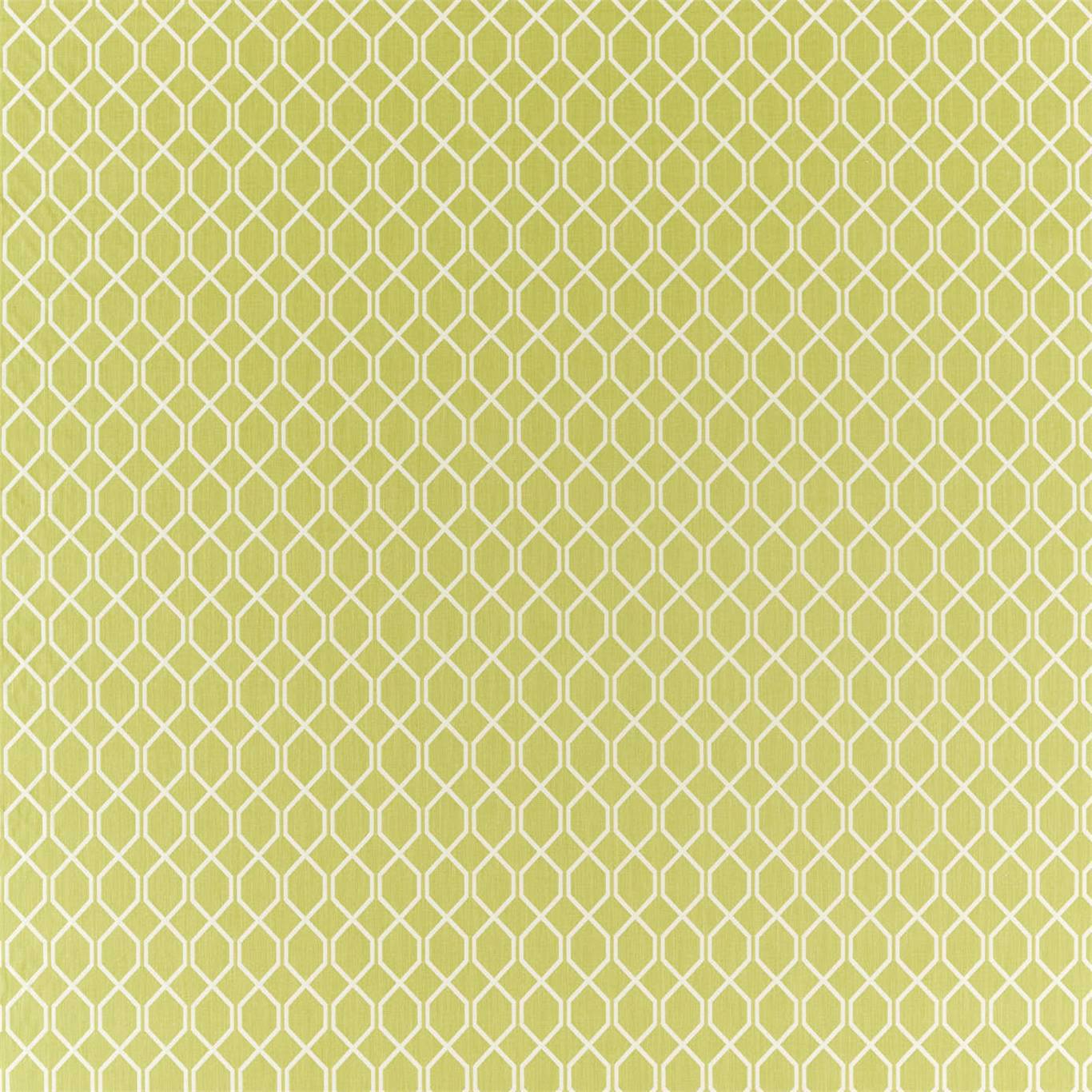 Botanic Trellis Lime Fabric By Sanderson