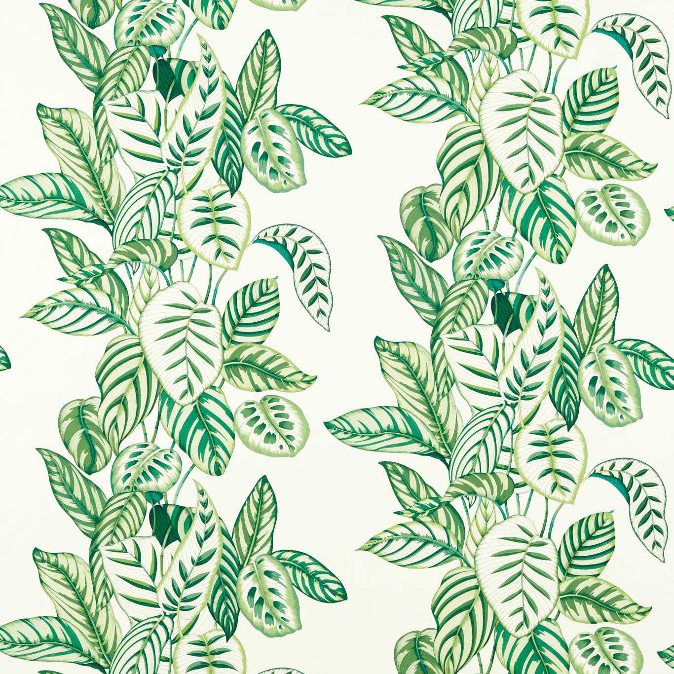 Calathea Botanical Green Fabric By Sanderson