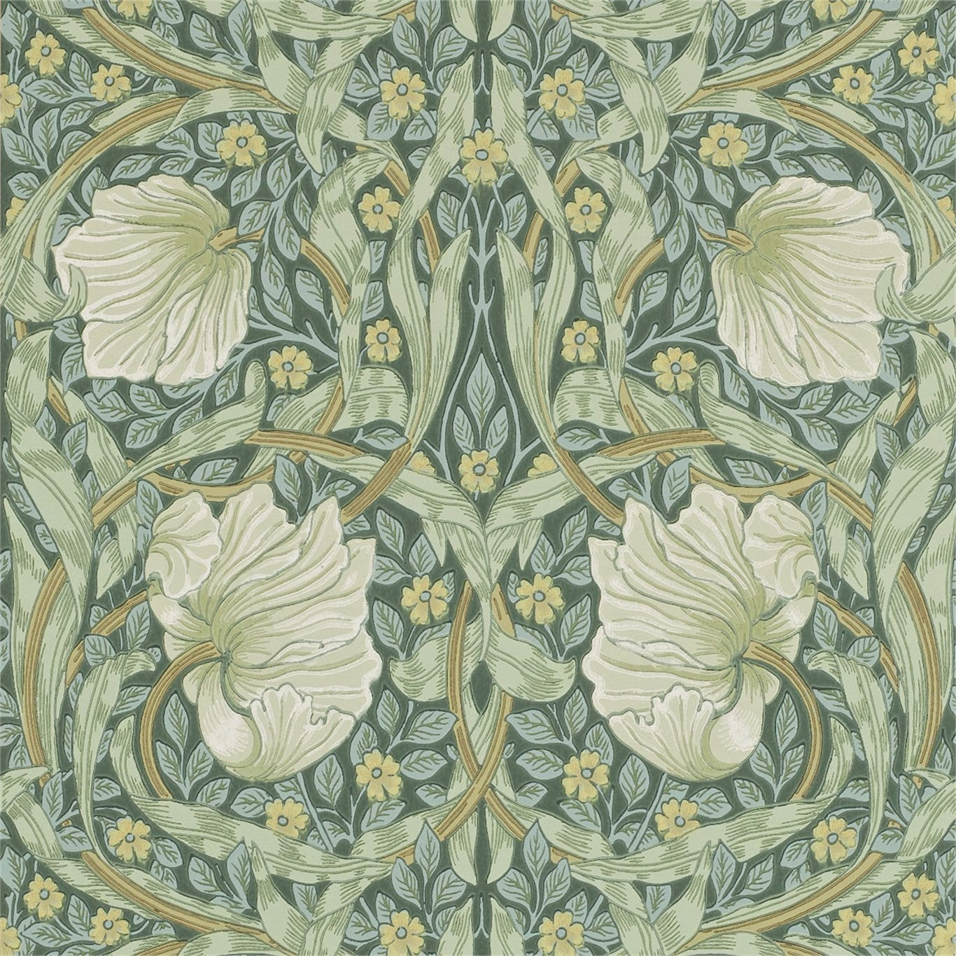 Pimpernel Privet/Slate Wallpaper DMCR216472 by Morris & Co