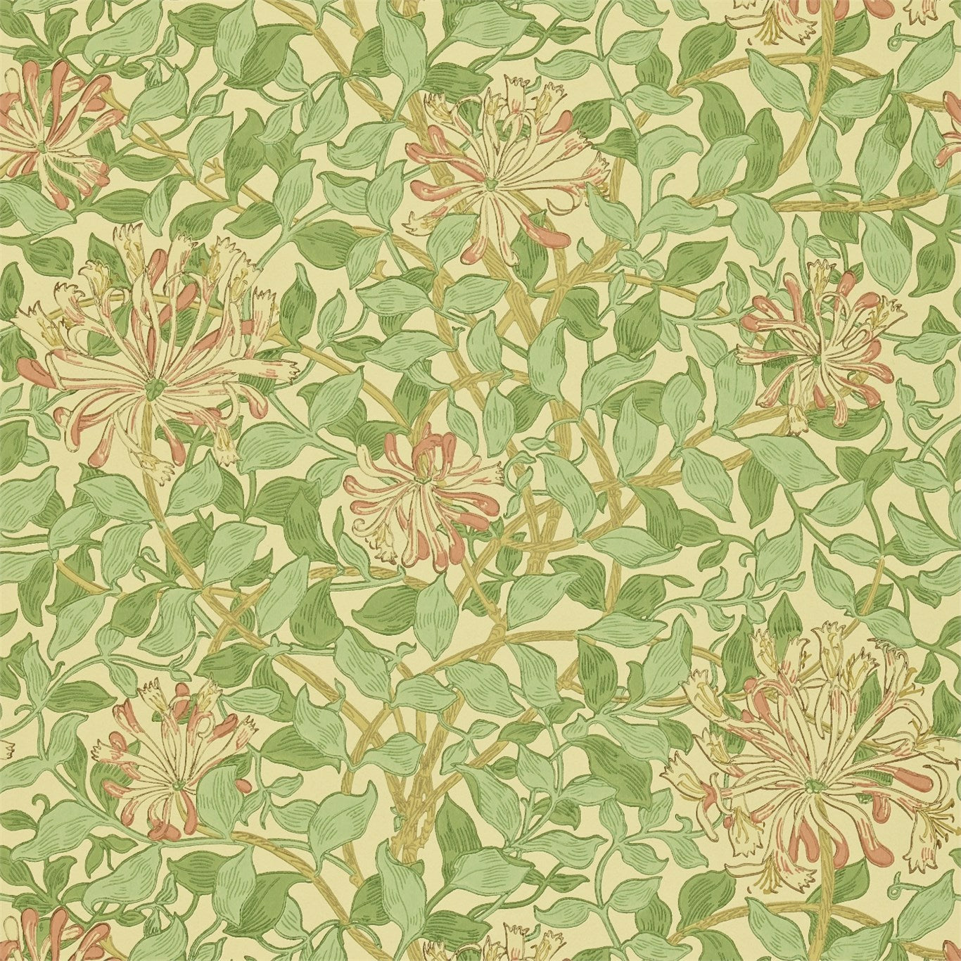 Honeysuckle Green/Beige/Pink Wallpaper DMCW210435 by Morris & Co