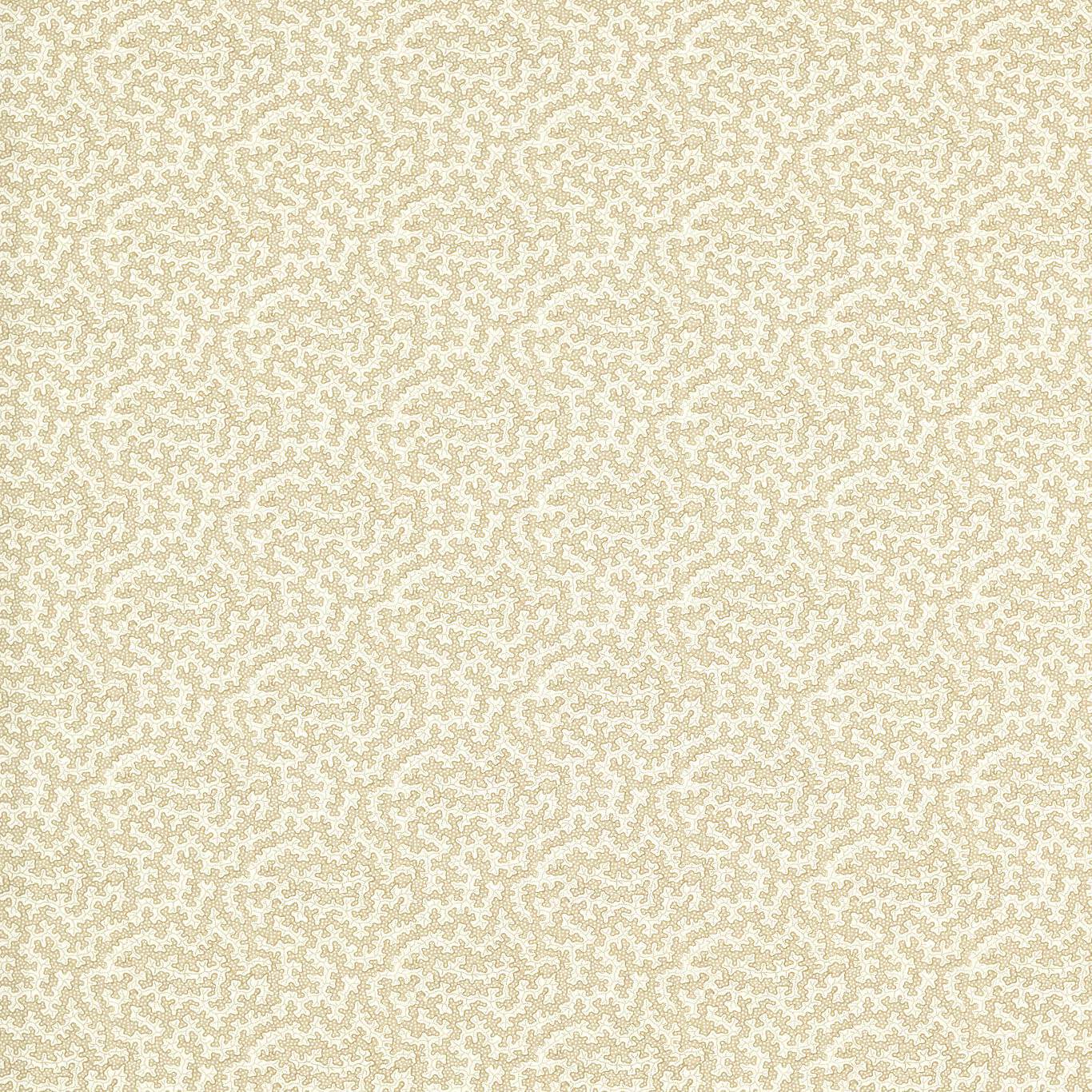 Truffle Sand Dollar Fabric By Sanderson