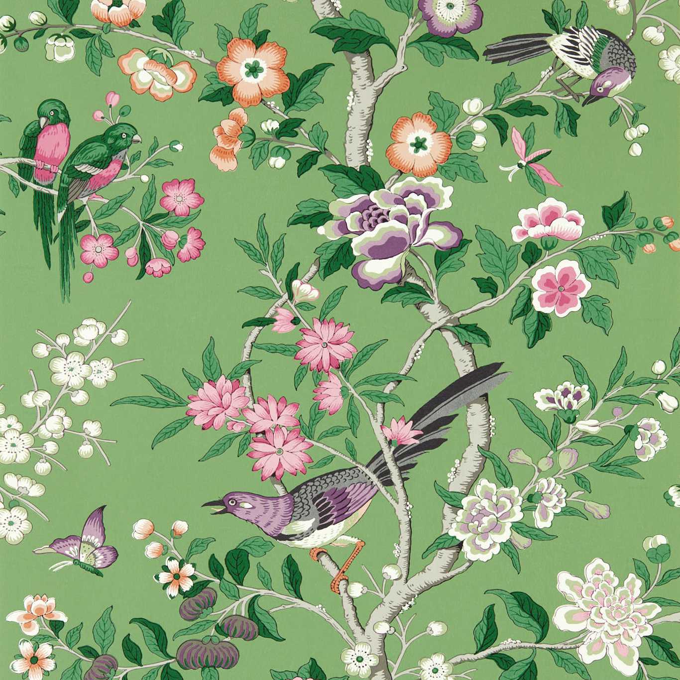 Chinoiserie Hall Chinese Green/Lotus Pink Wallpaper DWAW217110 by Sanderson