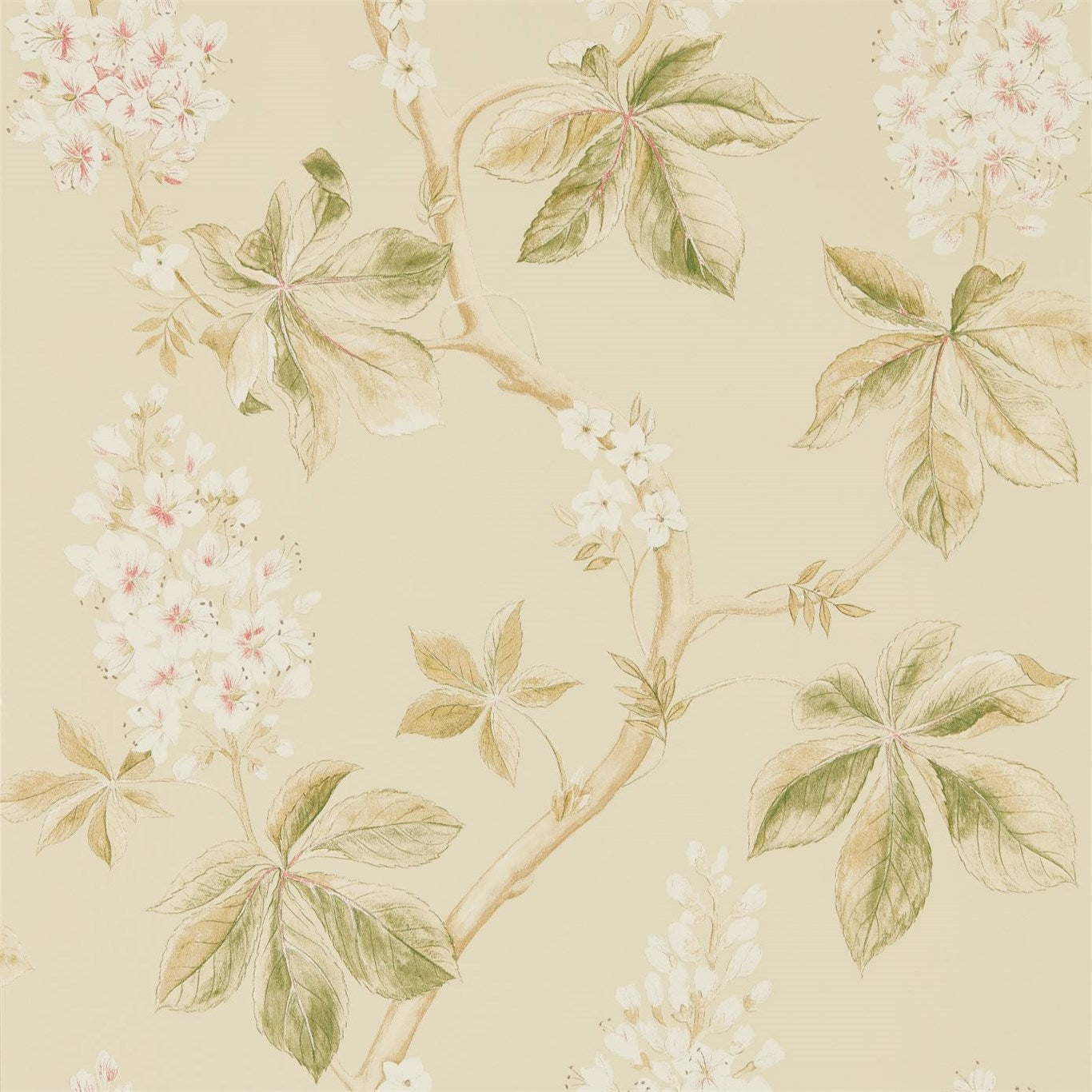 Chestnut Tree Coral/Bayleaf Wallpaper DWOW215709 by Sanderson