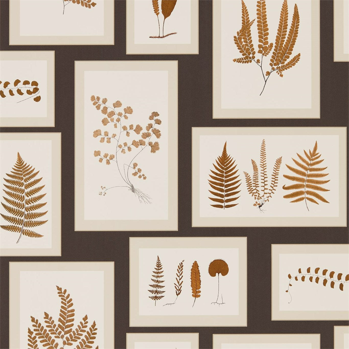 Fern Gallery Charcoal/Spice Wallpaper DWOW215713 by Sanderson