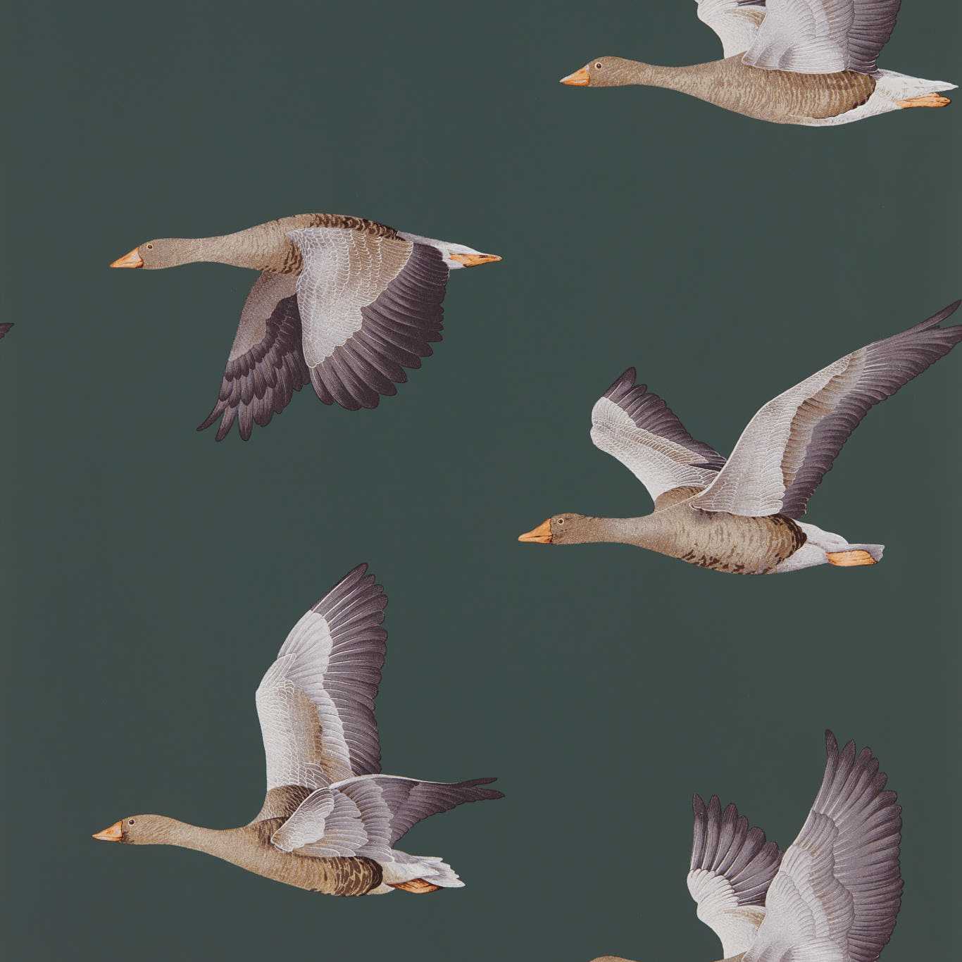 Elysian Geese (Wallpaper) Amsterdam Green Wallpaper DYSI216608 by Sanderson