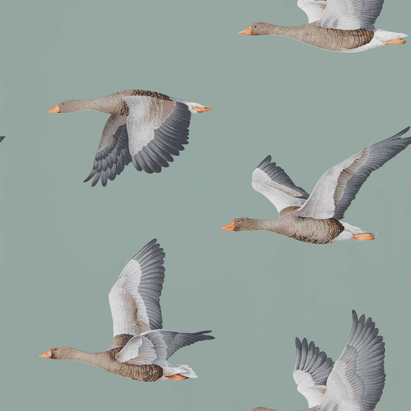 Elysian Geese (Wallpaper) Blue Clay Wallpaper DYSI216610 by Sanderson