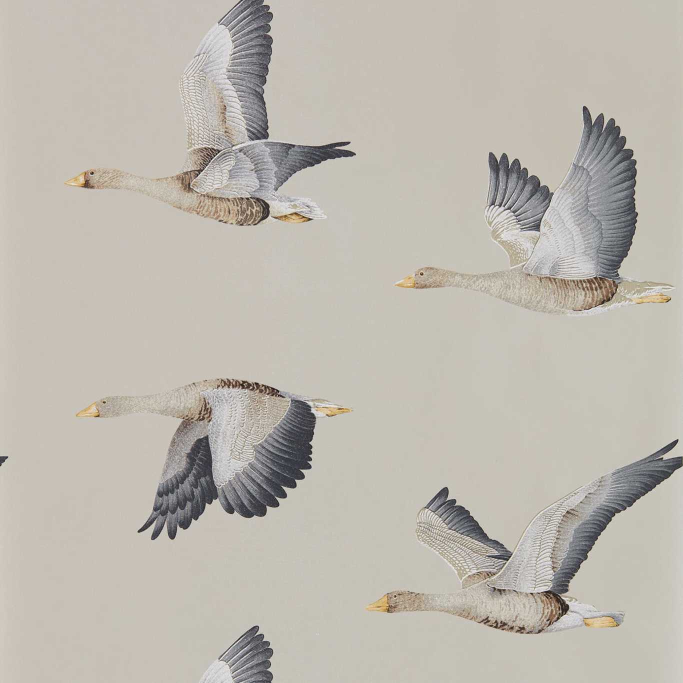 Elysian Geese (Wallpaper) Gilver Wallpaper DYSI216611 by Sanderson