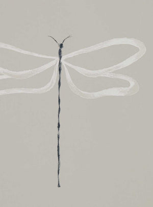 Dragonfly Wallpaper NJAP111933 by Scion