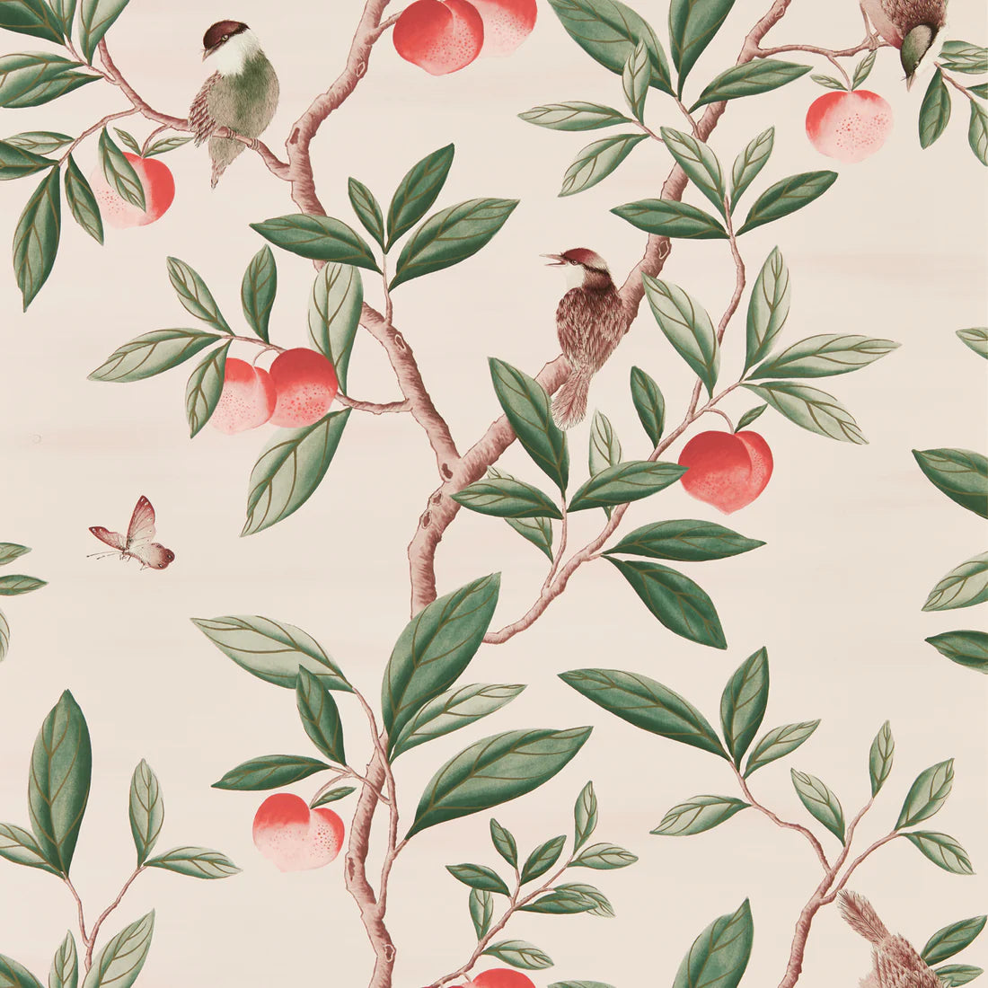 Ella Powder/ Sage / Peach Wallpaper HDHW112907 by Harlequin - Clearance