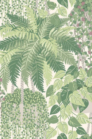 Fern Wallpaper 115-7021 by Cole & Son