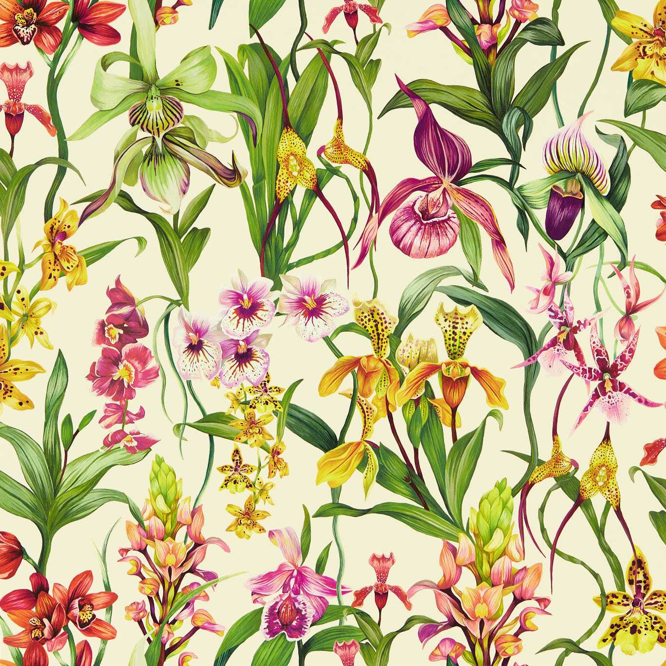 Kalina Parchment/Forest/Azalea Wallpaper HC4W113009 by Harlequin