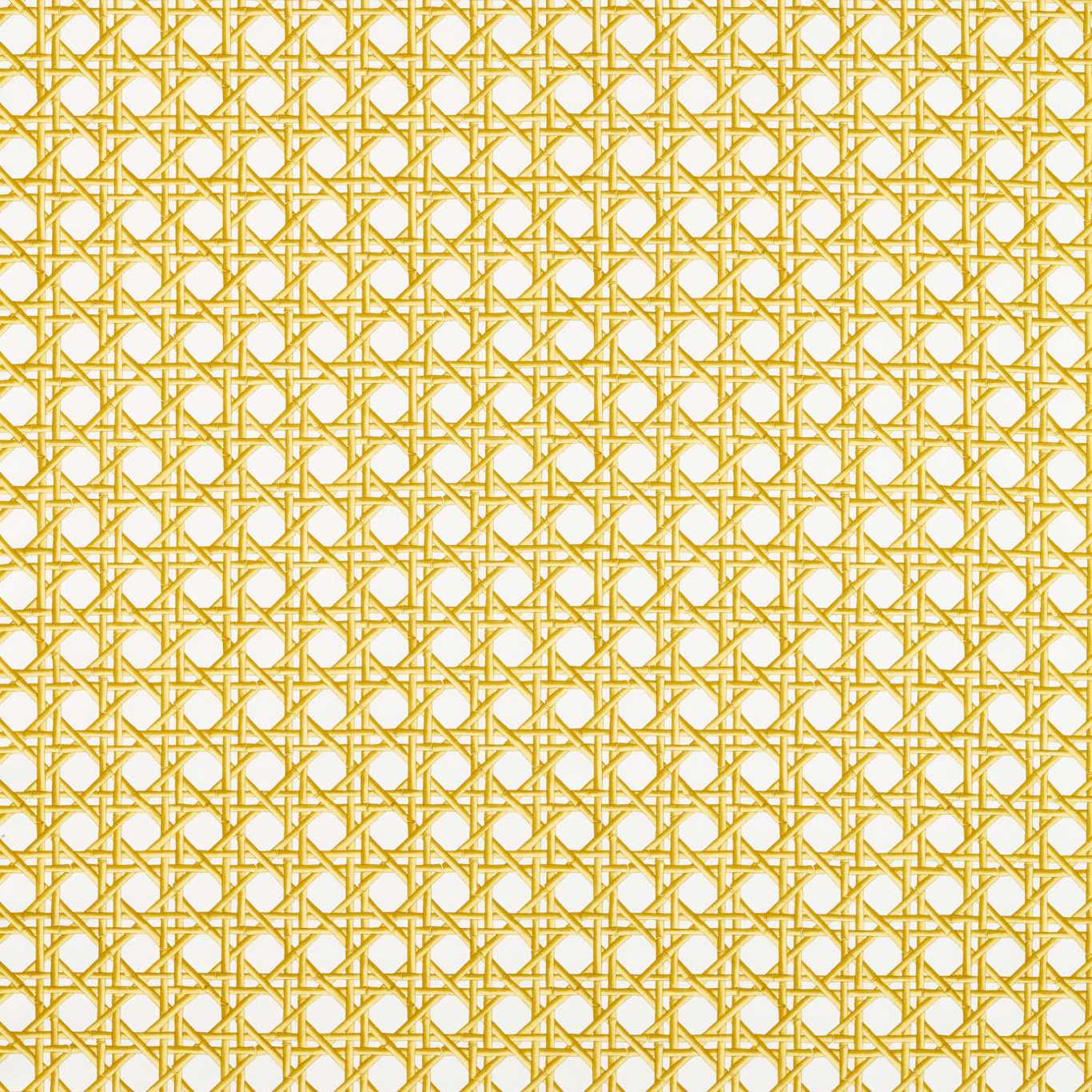 Lovelace Honey/Paper Lantern Fabric By Harlequin x Diane Hill