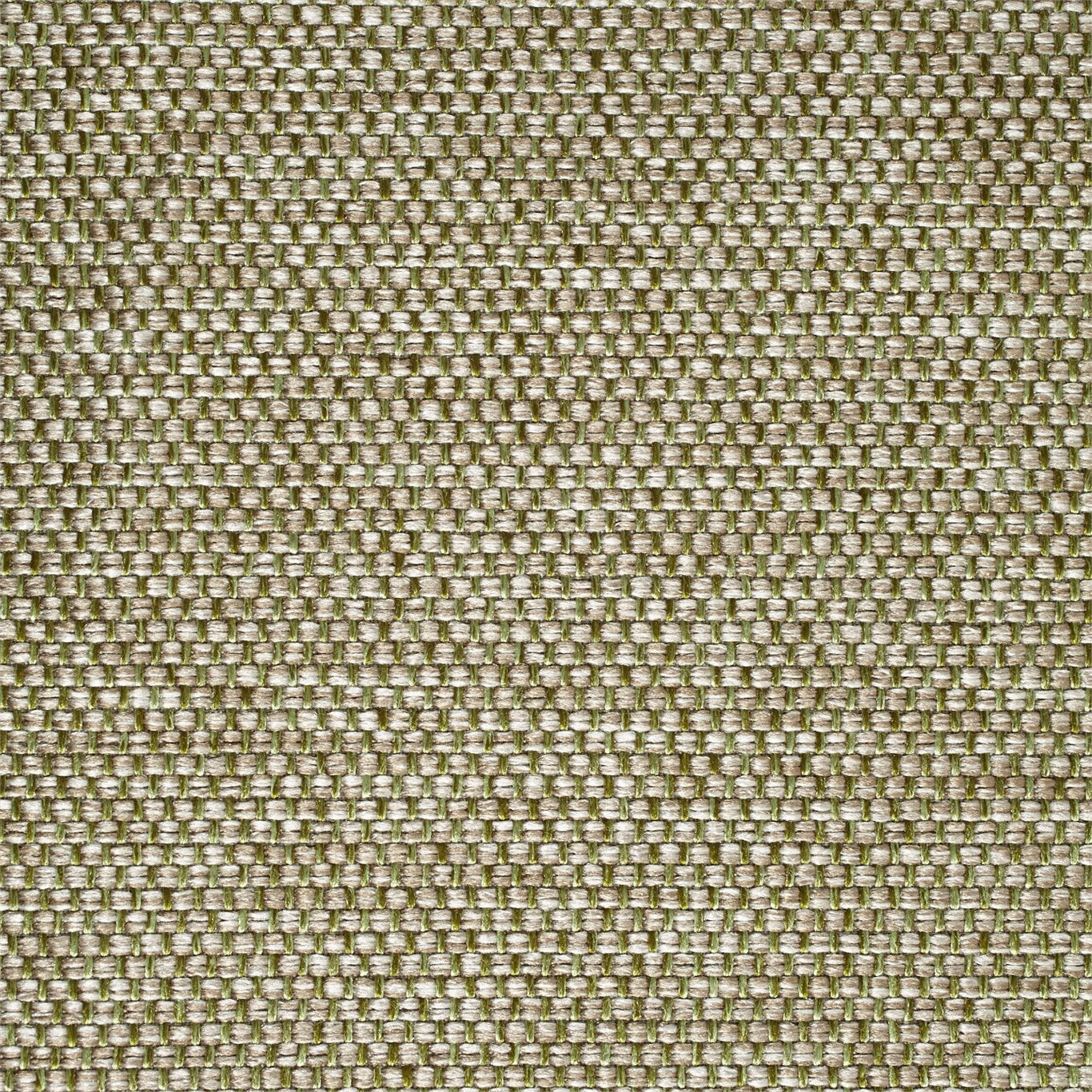 Budva Moss Fabric By Harlequin