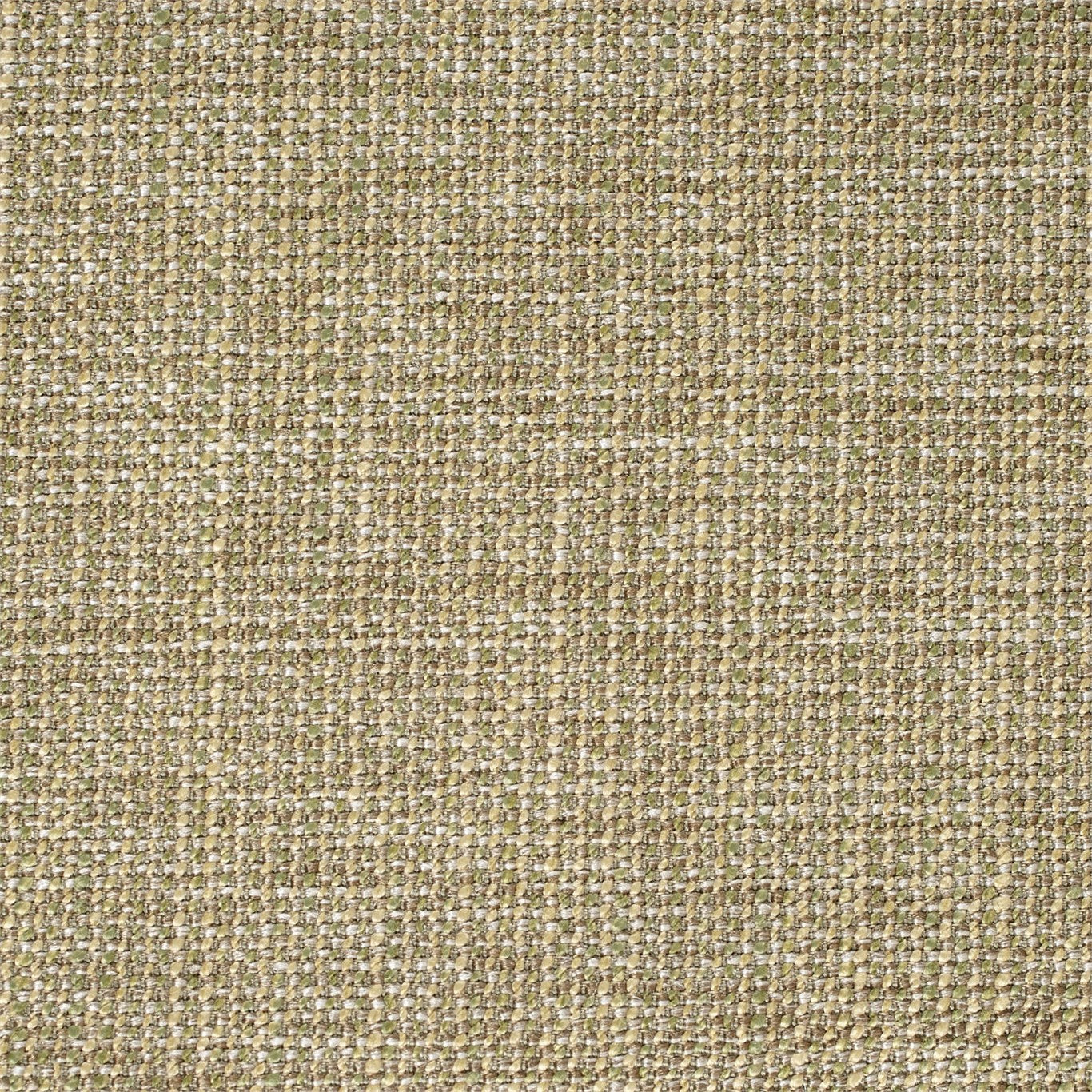 Risan Tea Fabric By Harlequin