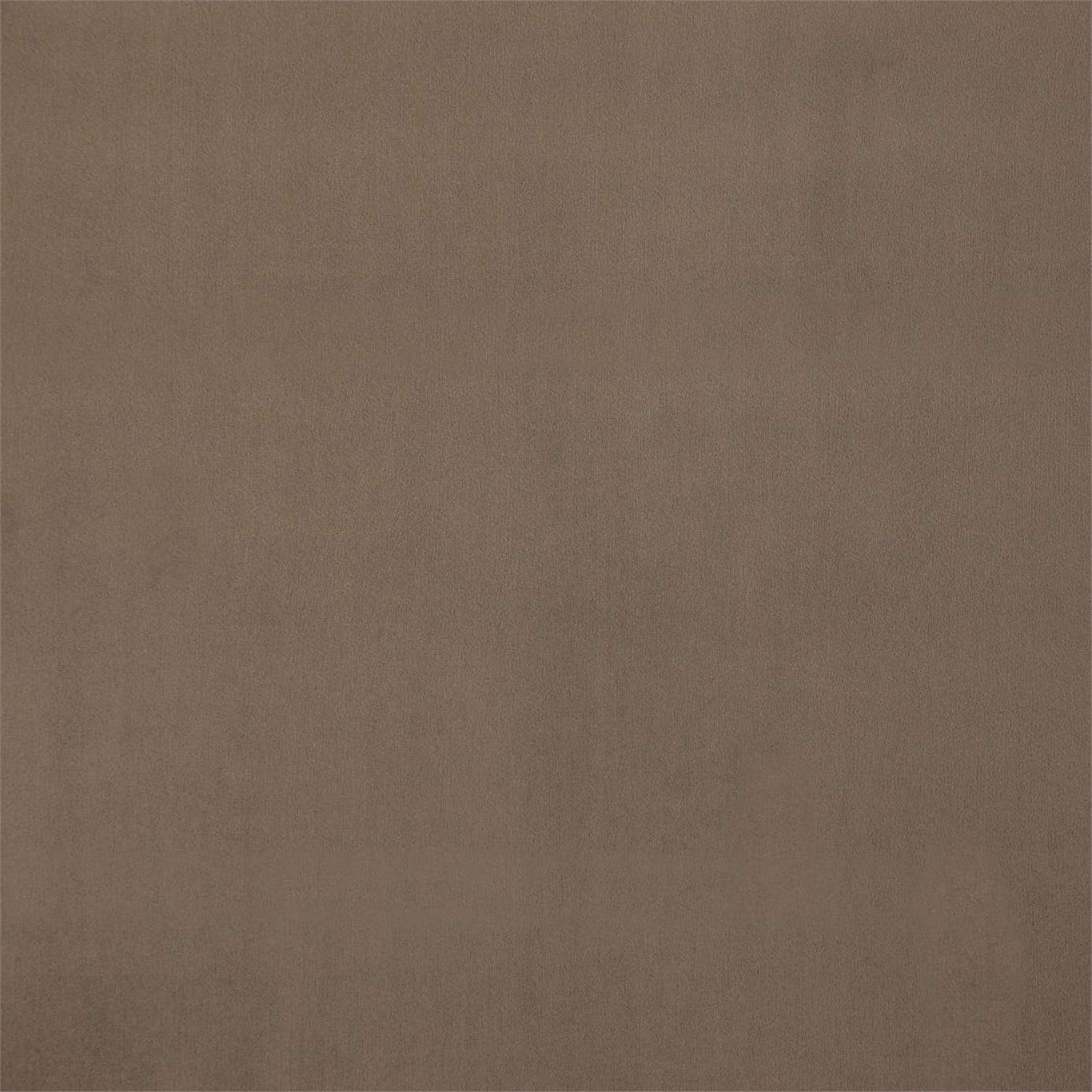 Entity Plains Cocoa Fabric By Harlequin