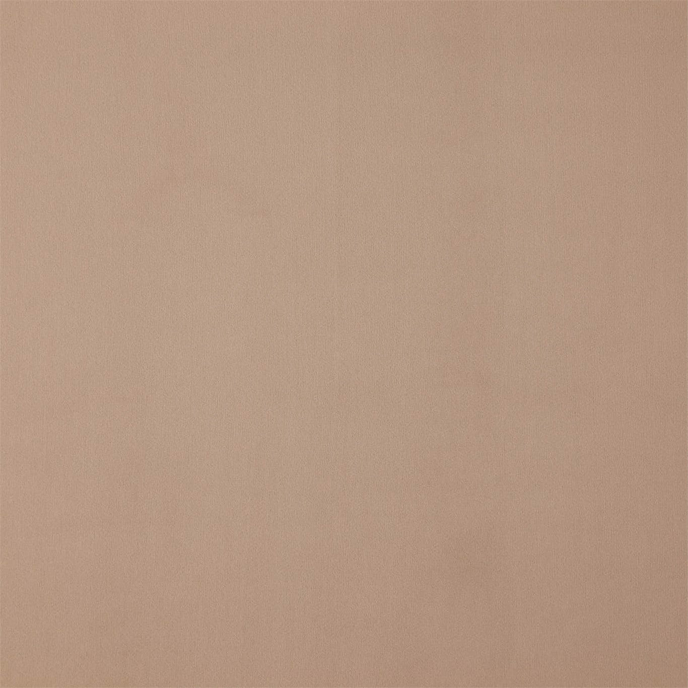 Entity Plains Latte Fabric By Harlequin