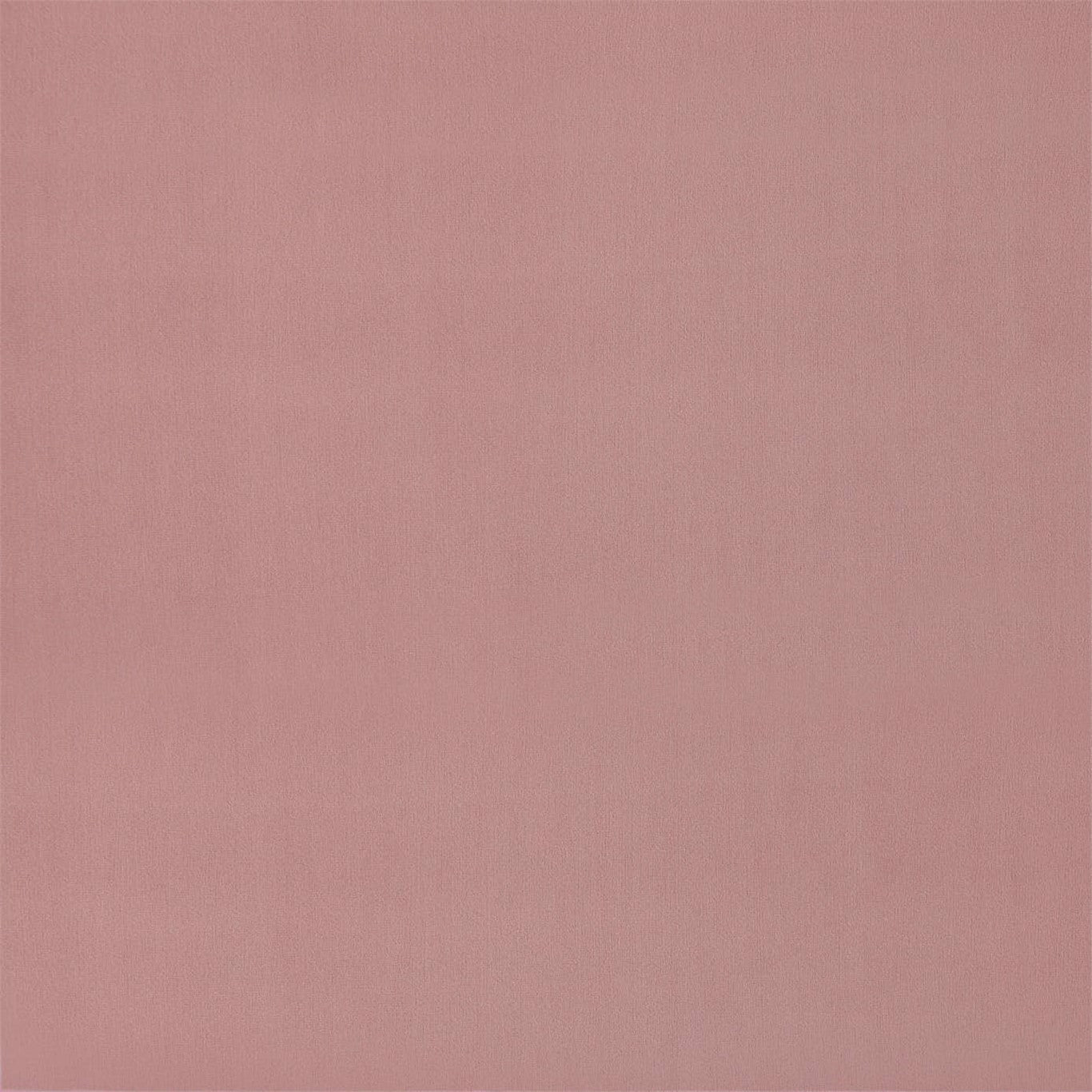 Entity Plains Blush Fabric By Harlequin