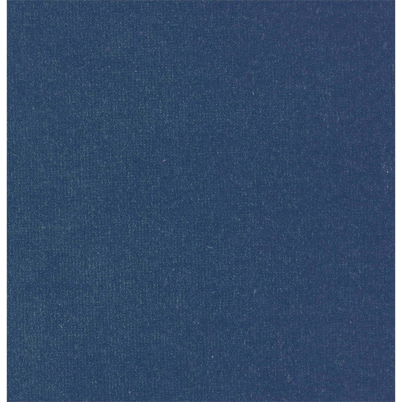 Plush Velvet Blueberry Fabric By Harlequin