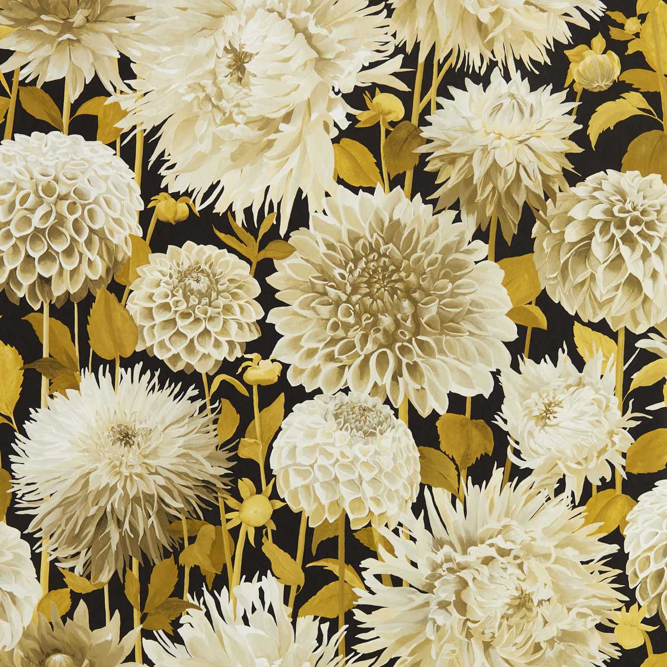 Dahlia Fig Blossom/Nectar/Black Earth Wallpaper HQN2112846 by Harlequin