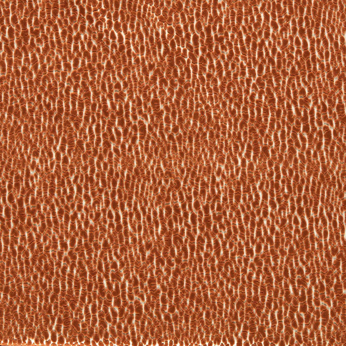 Lacuna Tiger Fabric By Harlequin