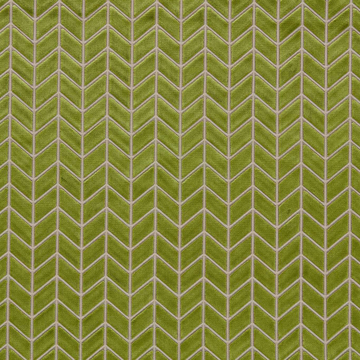 Perplex Kelly Fabric By Harlequin