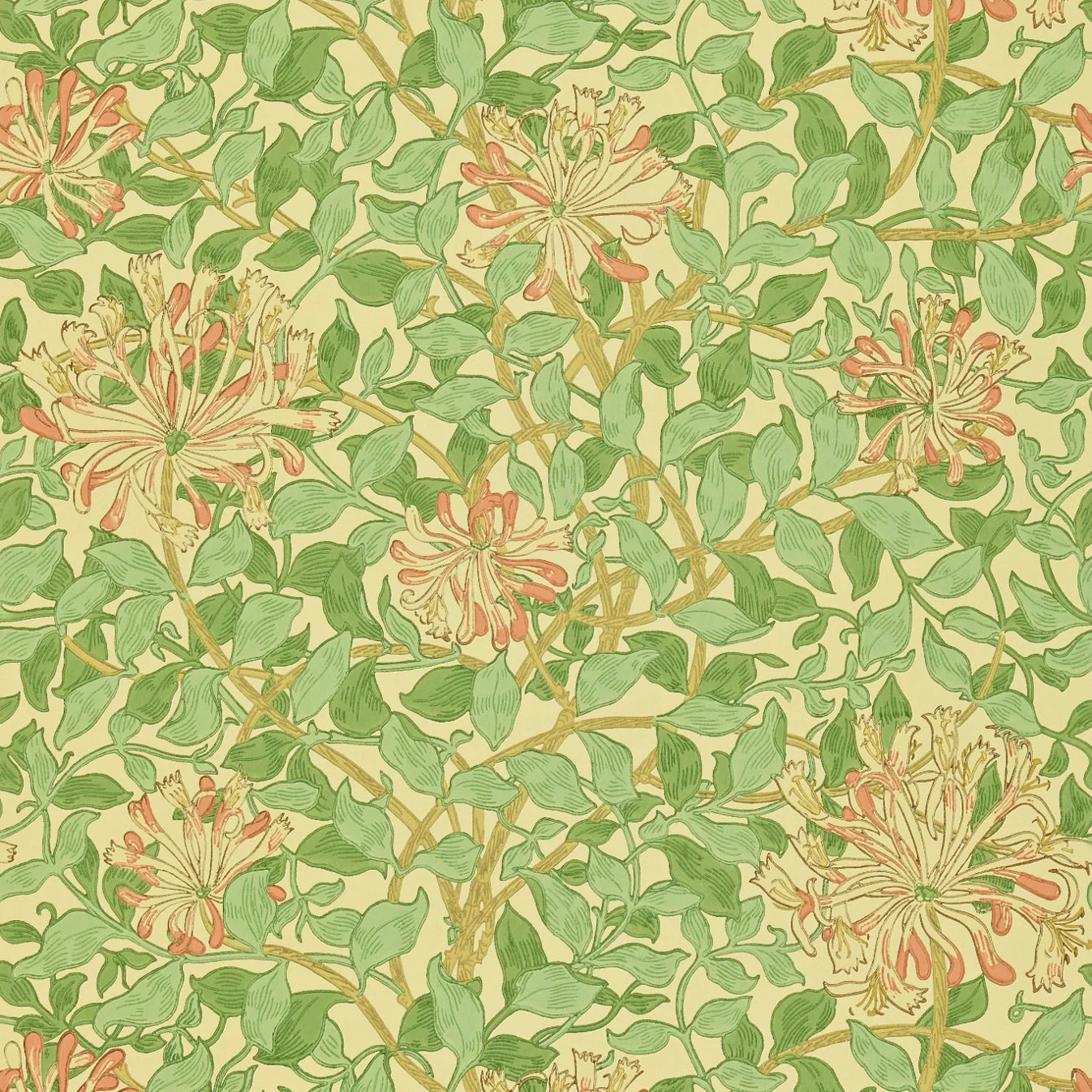 Honeysuckle Wallpaper DMC1HS103 by Morris & Co - Clearance