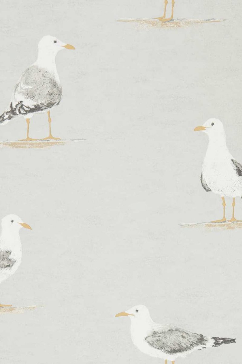 Shore Birds Wallpaper DCOA216565 by Sanderson