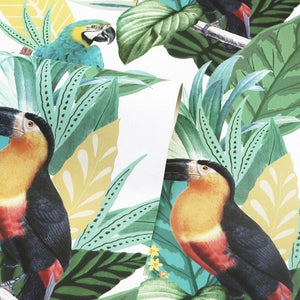 Toucan Jungle Wallpaper 296803 by Arthouse