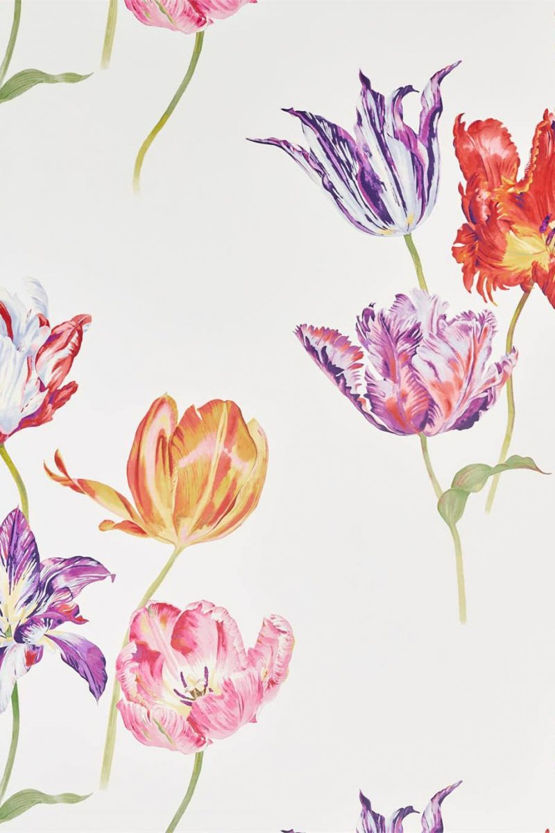 Tulipomania Wallpaper DGLW216666 by Sanderson