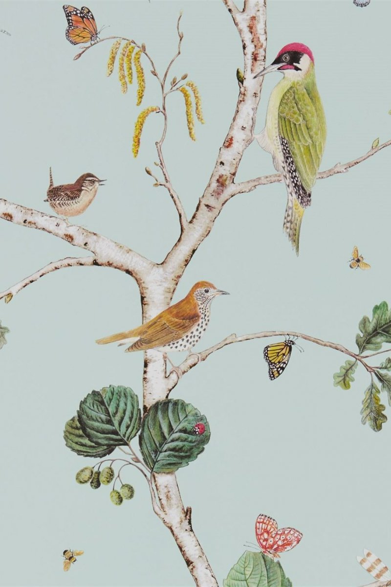 Woodland Chorus Wallpaper DWOW215706 by Sanderson